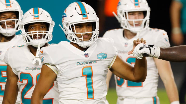 tua-dolphins.jpg