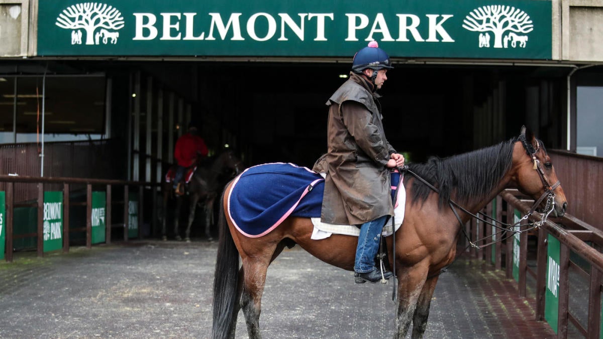 2021 Belmont Stakes odds, Rombauer predictions: Expert who ...