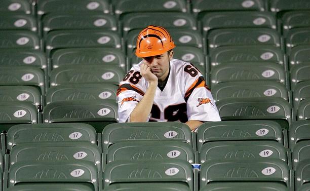 bengalsfan1.jpg