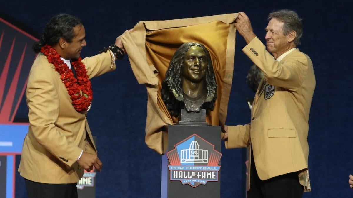 LOOK: Troy Polamalu's long-locked Hall of Fame bust may be the