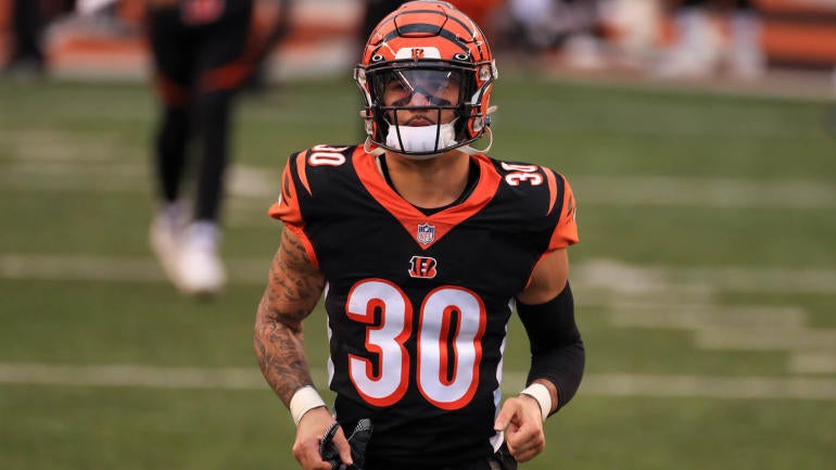 NFL: January 03 Ravens at Bengals