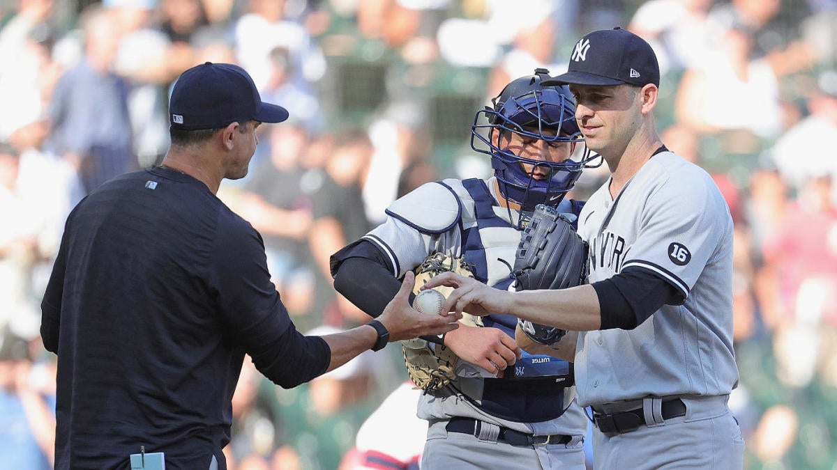 Baseball Pitcher And Umpire In Ready Position High-Res Stock Photo - Getty  Images