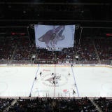 coyotes-arena.jpg
