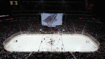 coyotes-arena.jpg