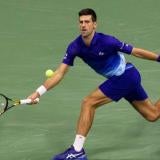 novak.jpg