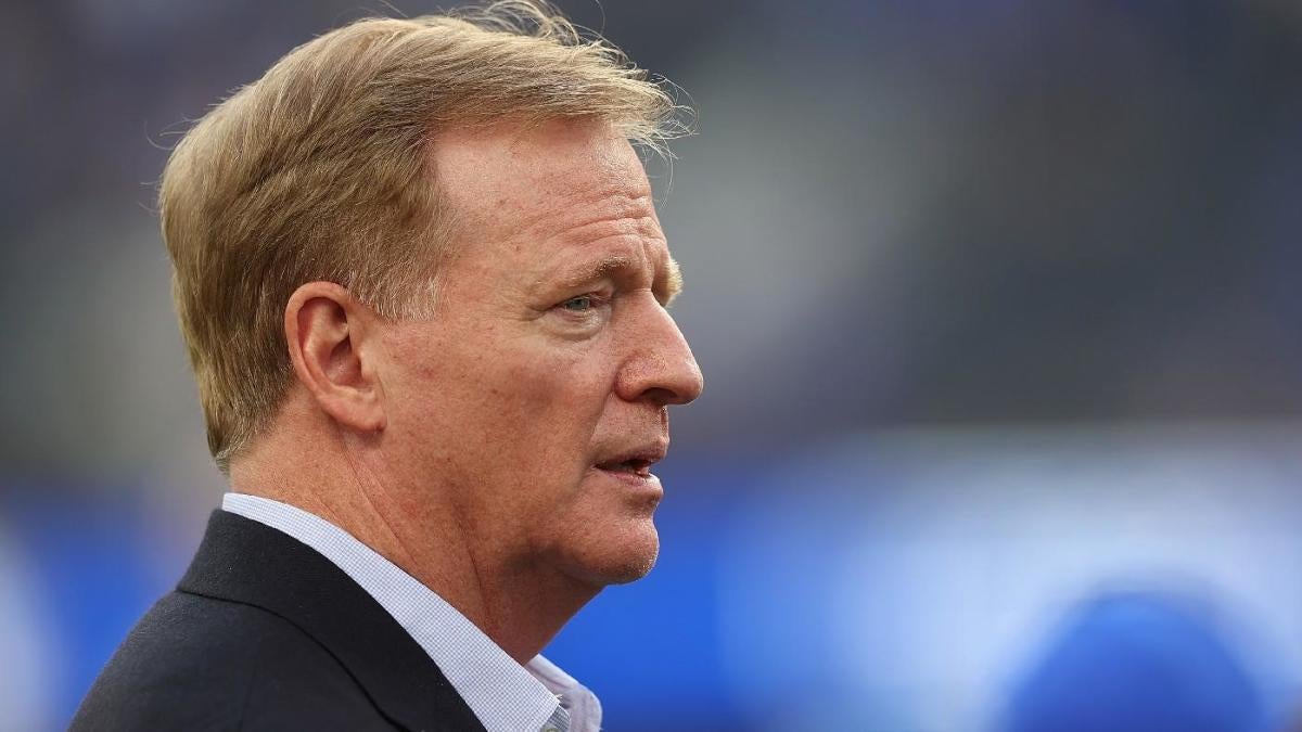 Roger Goodell Has Telling Comment On Investigation Into Dan Snyder, The  Spun