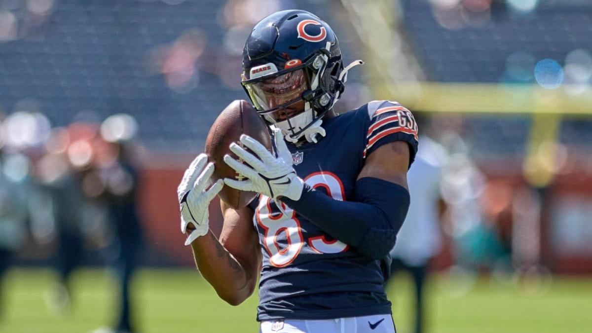 Banged-up Bears lose WR Darnell Mooney for remainder of season