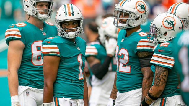 miami dolphins