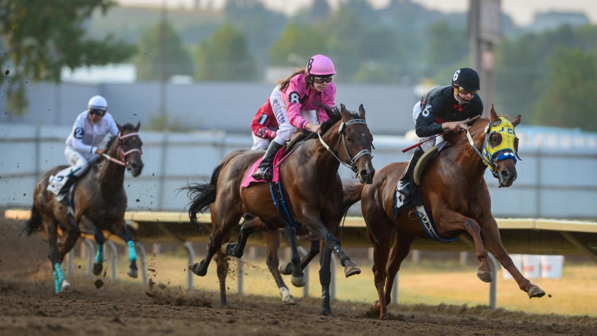 SportsLine expert Jody Demling shares some longshot picks for the Belmont 