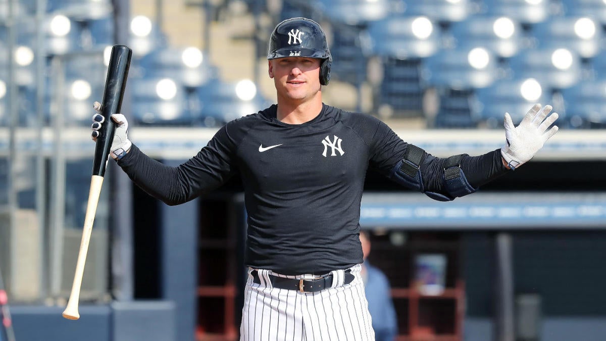 Josh Donaldson New York Yankees Game-Used #28 White Pinstripe