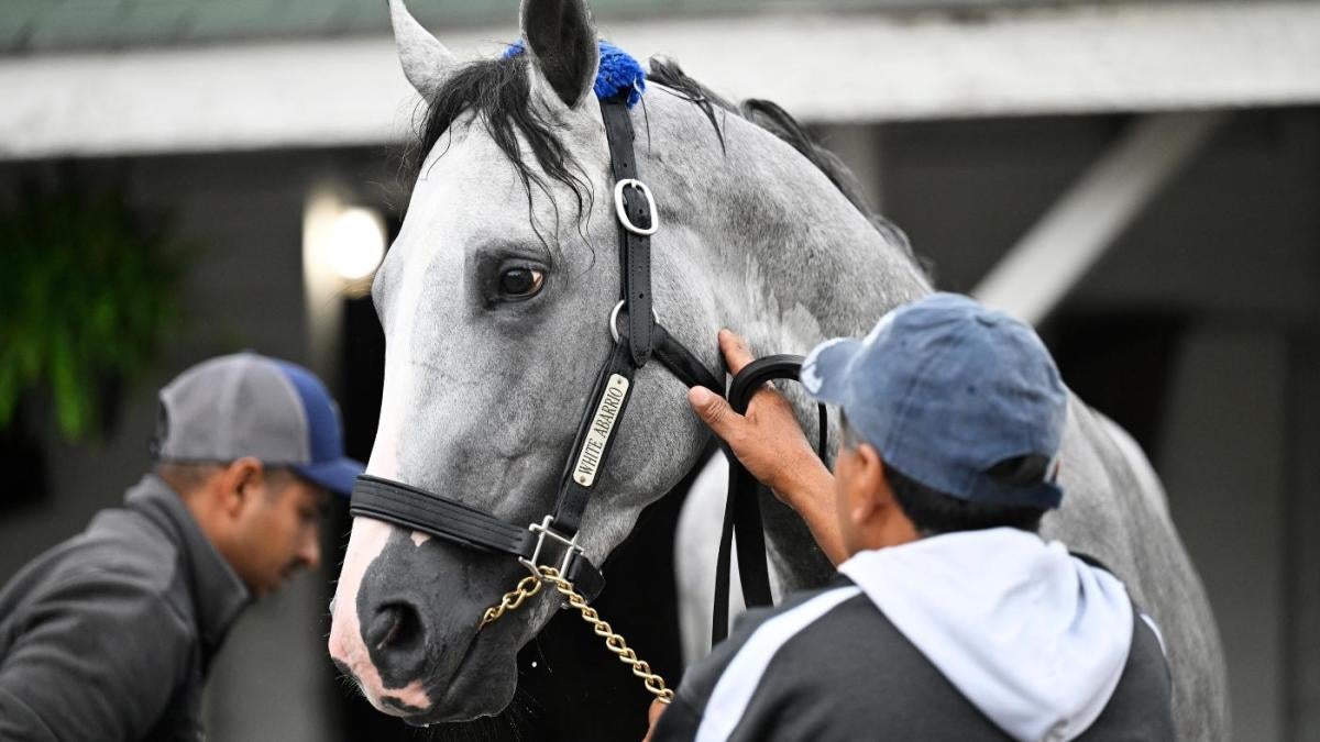 Contenders For 2024 Kentucky Derby Catlin Joellen