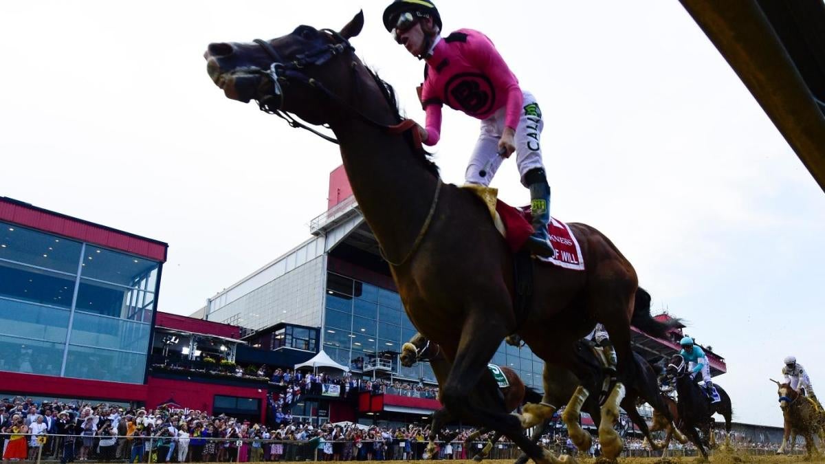 Preakness Stakes 2023 updated odds as of the day before the race