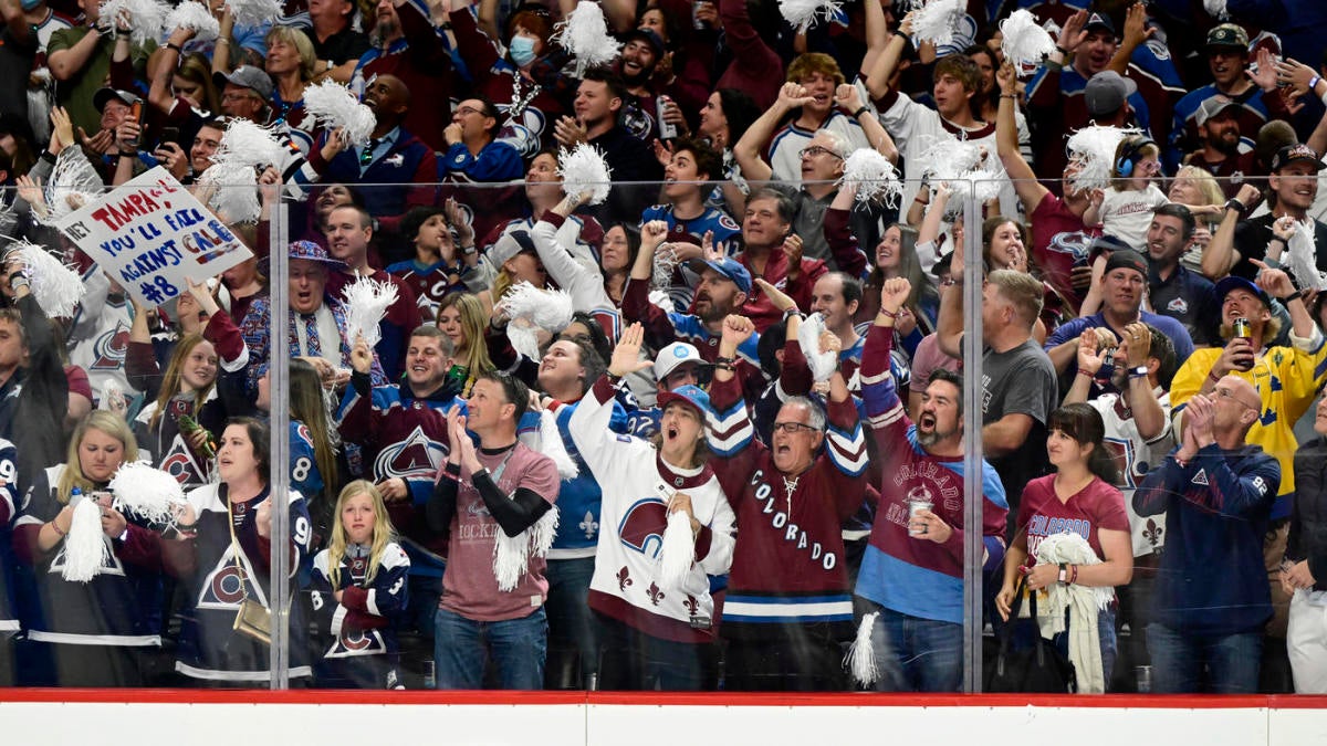 Avs fans sing 'All the Small Things' during Stanley Cup banner raise