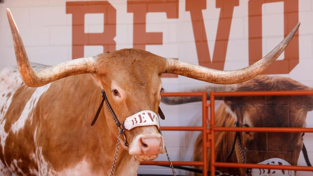 Complete look at Texas newcomers ahead of fall camp