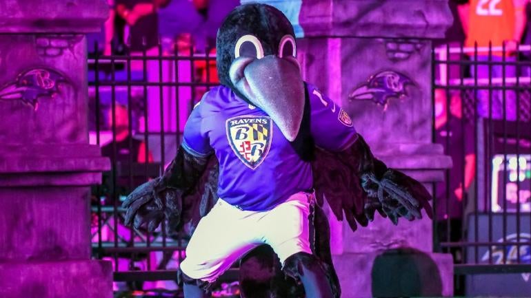 ravens-mascot.jpg