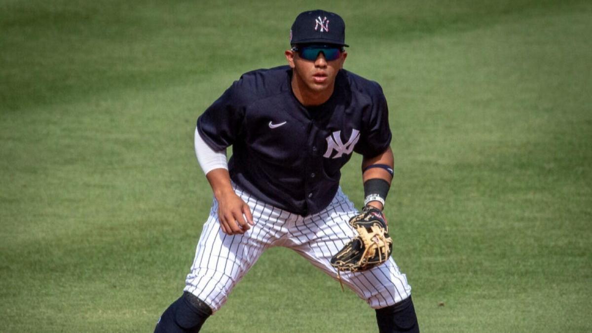 Yankees call up top prospects Everson Pereira and Oswald Peraza amidst  eight-game losing streak - BVM Sports
