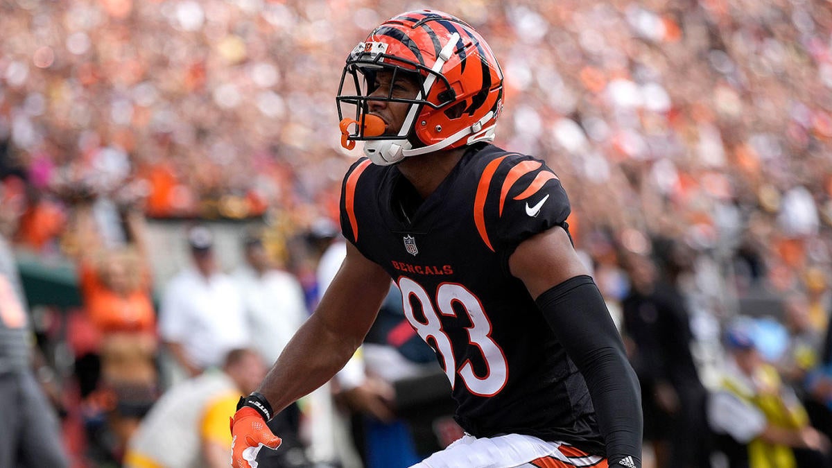 Pittsburgh Steelers Wideouts - A Look at Five Available Wideouts
