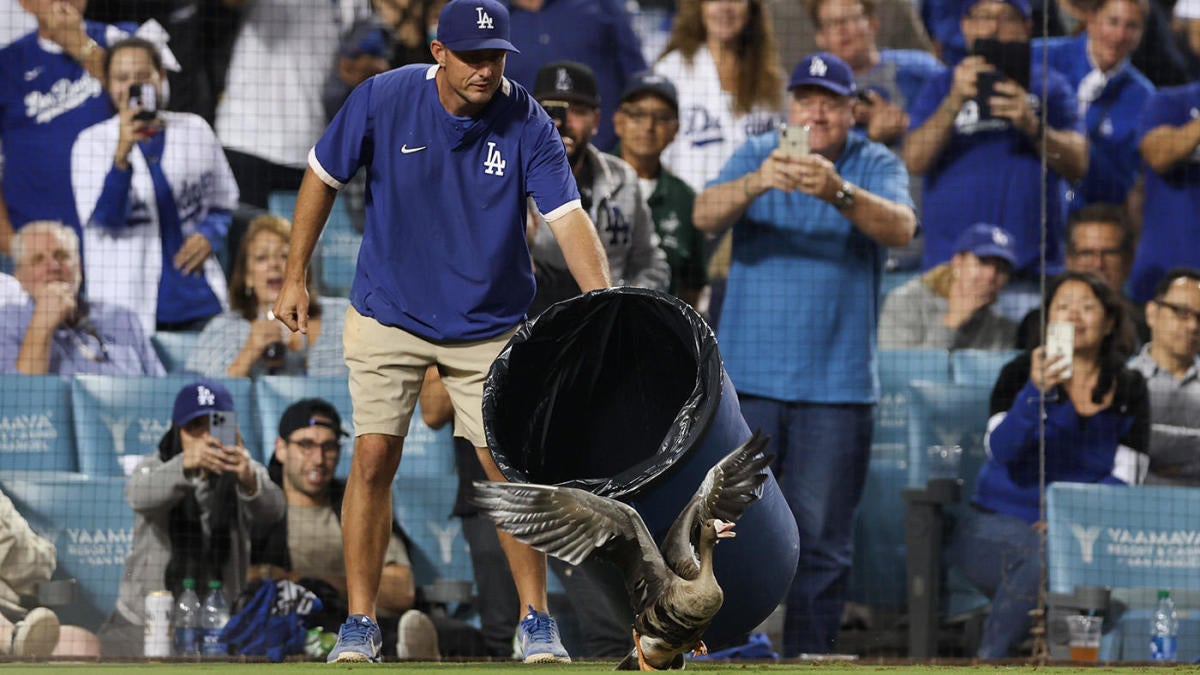 Balle de volaille: Goose se détache sur le terrain lors de la huitième manche du match 2 de Padres-Dodgers NLCS