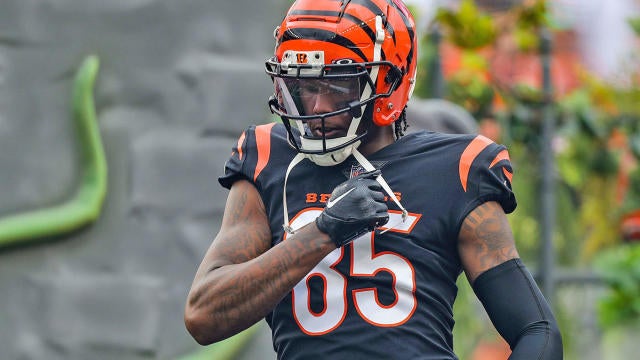 T.J. Houshmandzadeh says Tee Higgins can be a top NFL WR