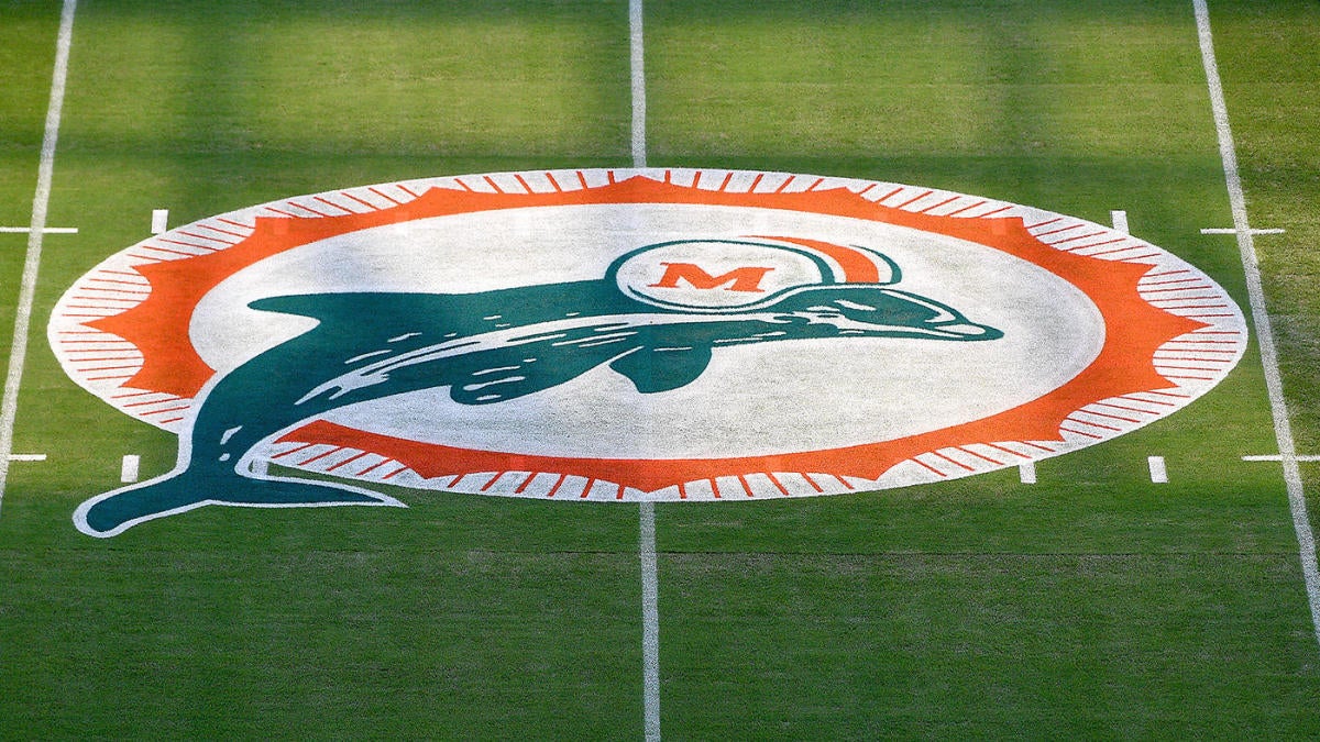 1972 dolphins