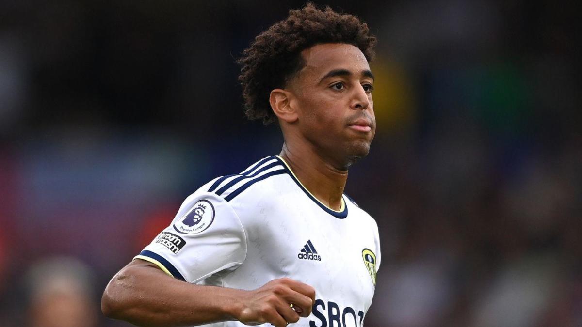 tyler adams: FIFA World Cup 2022: Tyler Adams named USA captain ahead of  Wales faceoff, read more - The Economic Times