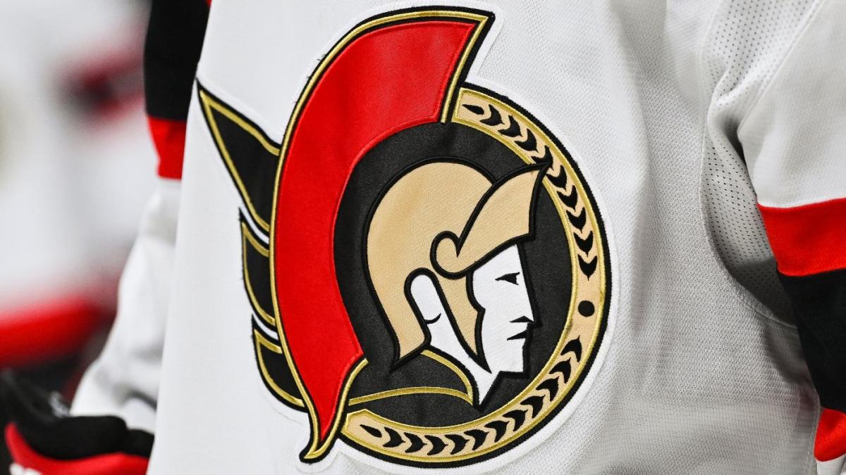 Ottawa Senators NHL Away Jersey