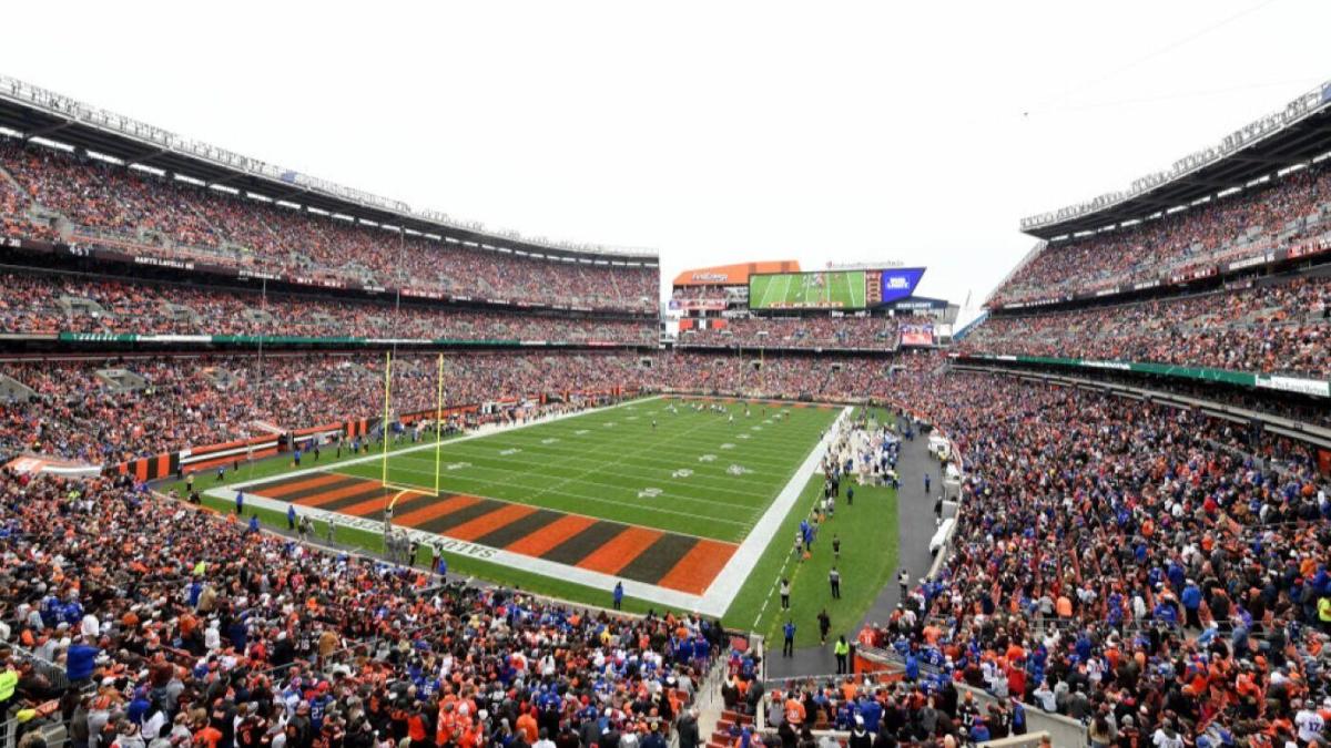 Skunk Found During Cleveland Browns NFL Football Game 