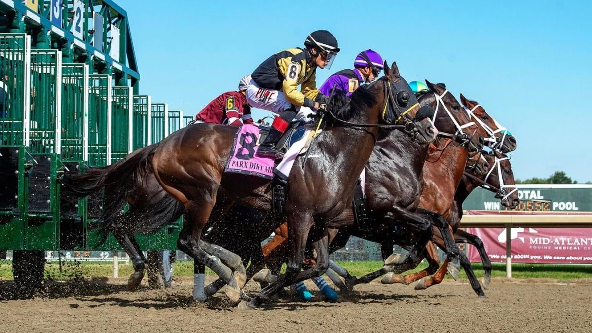 2022 Cigar Mile predictions, odds: Horse racing expert reveals picks, best bets for Aqueduct Race Course 