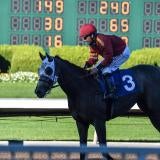 Pegasus Cup at Gulfstream Park