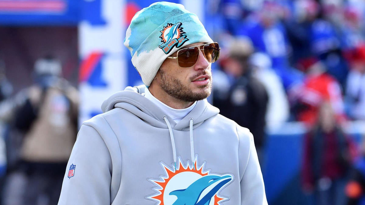 dolphins winter hat