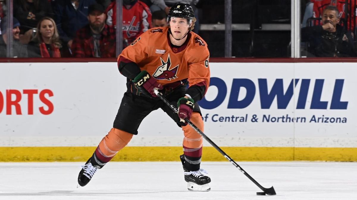 A detail view of an Arizona Coyotes jersey in the Western Conference  News Photo - Getty Images