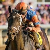 Pegasus Cup at Gulfstream Park