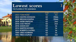 Jacksonville Jaguars Mascot Wins Closest-to-the-Hole Competition at TPC  Sawgrass, News, Scores, Highlights, Stats, and Rumors