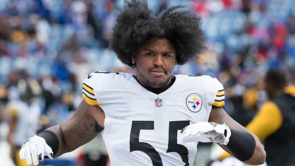 Devin Bush, Pittsburgh Steelers NFL draft pick: 5 things to know