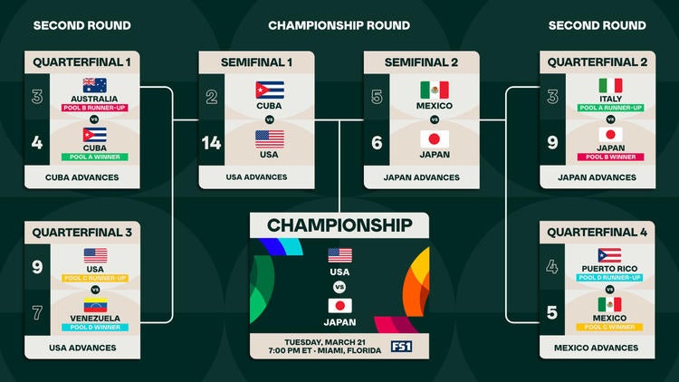 【正規品】WBC 2023 決勝戦 Japan vs US フィールド実使用土 正規品】WBC 2023 決勝戦 Japan vs US フィールド実使用土