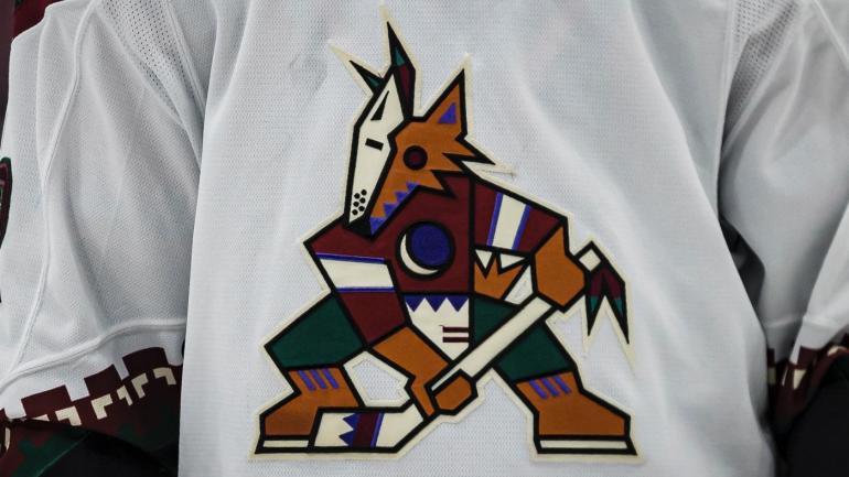 NHL menangguhkan pemilik minoritas Coyote Andrew Barroway tanpa batas waktu setelah tuduhan pencekikan kejahatan NHL menangguhkan pemilik minoritas Coyote Andrew Barroway tanpa batas waktu setelah tuduhan pencekikan kejahatan