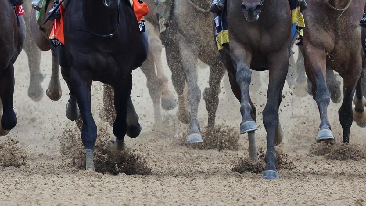 Churchill Downs investigating deaths of seven horses as track prepares