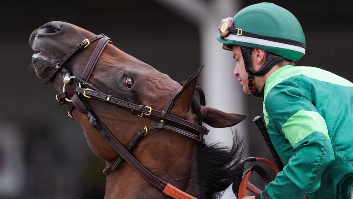 Kentucky Derby 2024 Horses Odds Printable