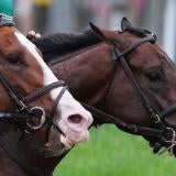 horse-racing-churchill-downs-usatsi-2.jpg