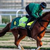 Pegasus Cup at Gulfstream Park