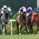 usatsi-churchill-horses.jpg