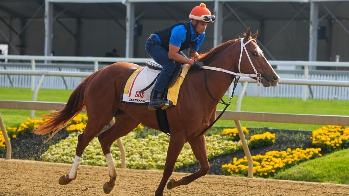 Horses Running In The Preakness 2024 Dyana Cristal