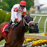 horse-racing-usatsi-generic.jpg