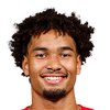 player headshot