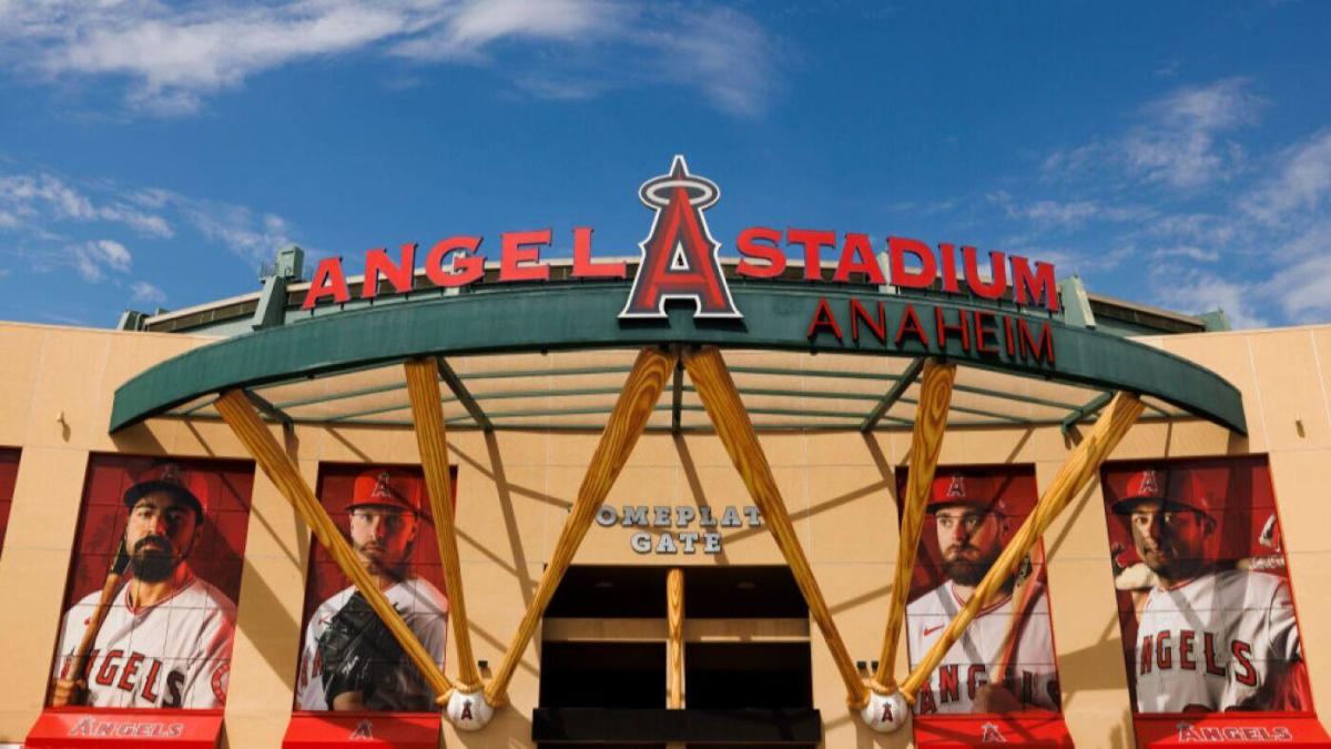Man sues Angels after he was allegedly blinded by a baseball during game