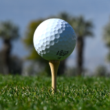 golf-ball-on-tee-g.png