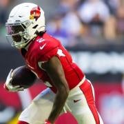 Marco Wilson, Arizona Cardinals, CB - News, Stats, Bio 