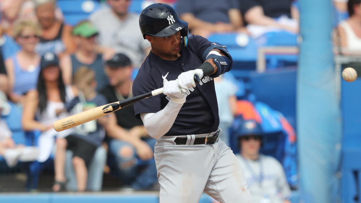 New York Yankees Top 44 Prospects