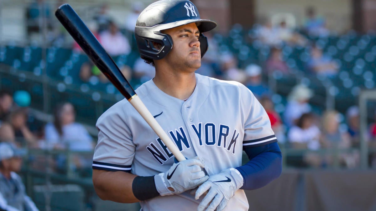 New York Yankees Prospect Jasson Dominguez Makes History in First