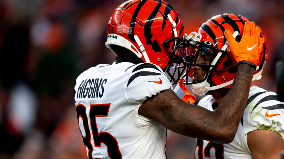 Bengals' Tyler Boyd says teammate Tee Higgins 'got the short end of the ...